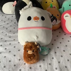 Squishmallow bundle
